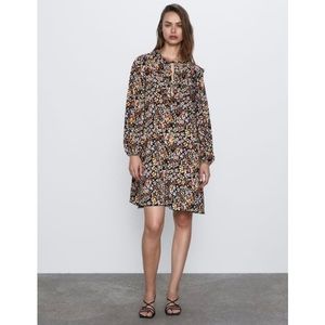 Zara V-Neck Tie Keyhole Ruffle Print Dress